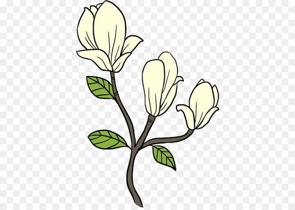 Нарисовать растение