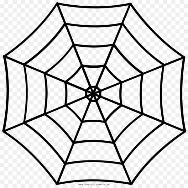 Паутина рисовать