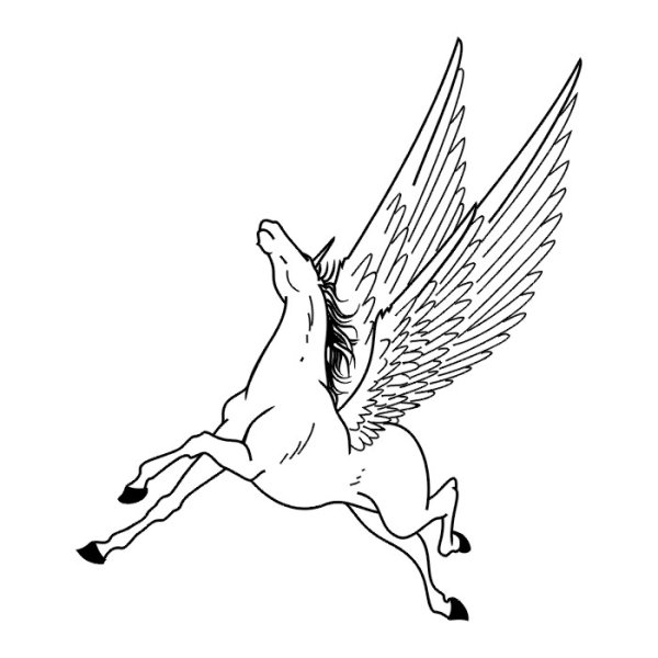 Пегас Графика