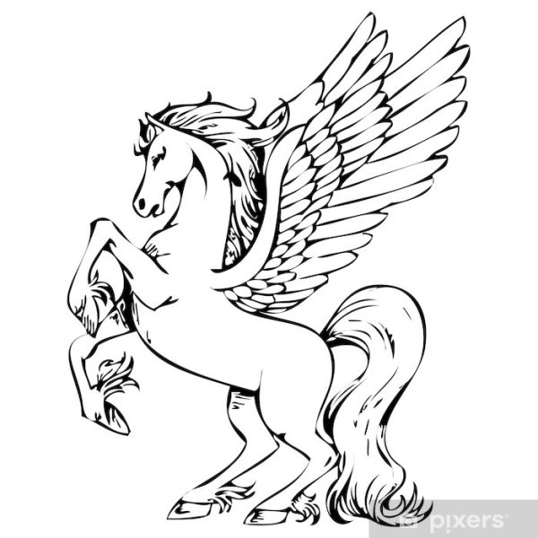 Пегас рисунок контур