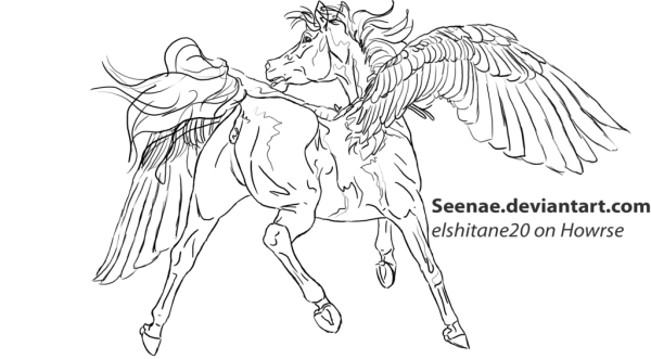 Лошадь с крыльями референс