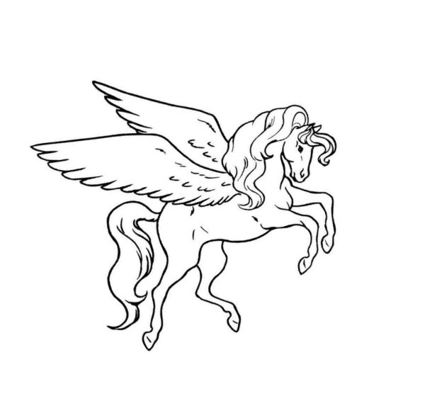 Разукрашки для девочек лош