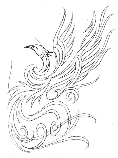 Феникс узор