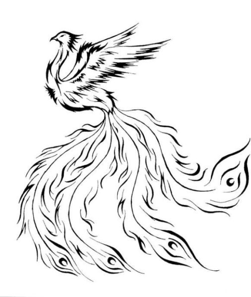 Набросок Жар птицы