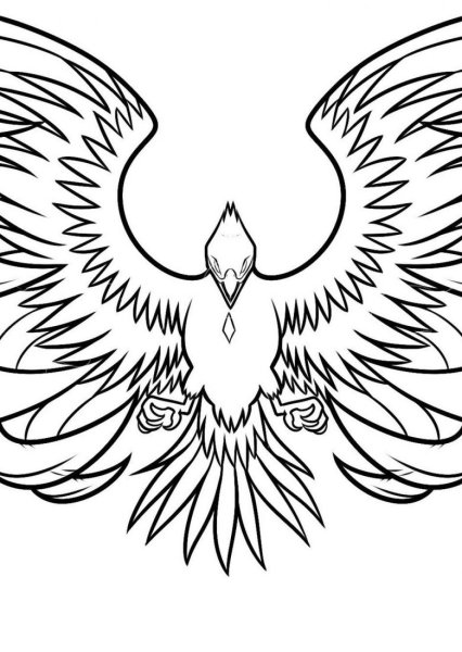 Феникс рисунок для срисовки