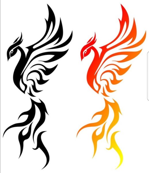 Птица Феникс эскиз