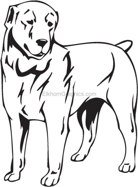 Алабай вектор