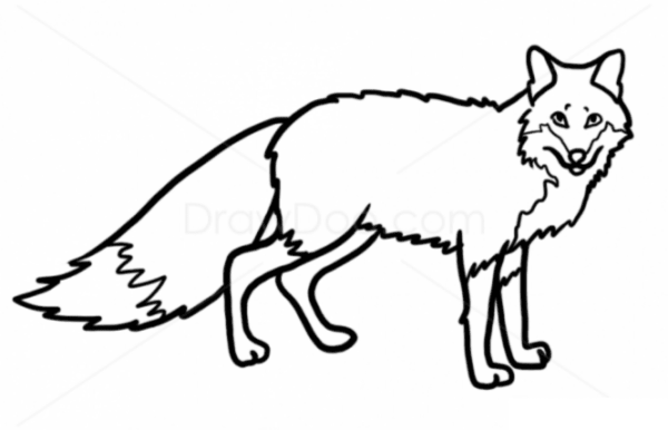 Силуэт лисы для раскрашивания