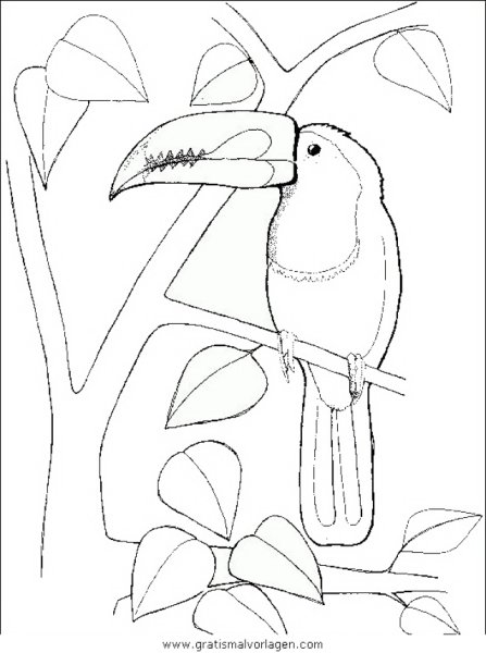 Контур тукана для раскрашивания