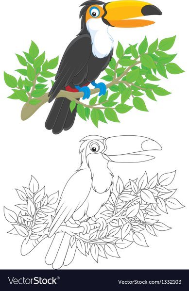Птица Тукан силуэты