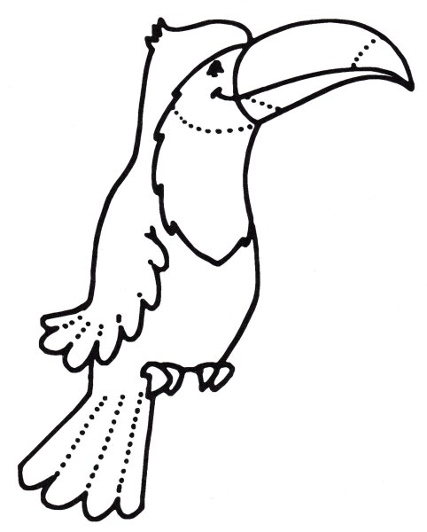 Toucan vector