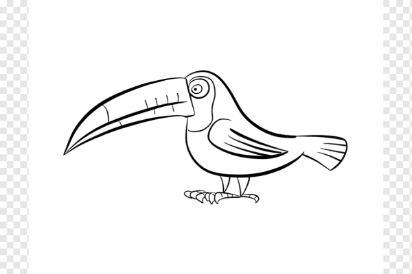 Раскраска Тукан на ветке