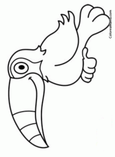 Тукан раскраска