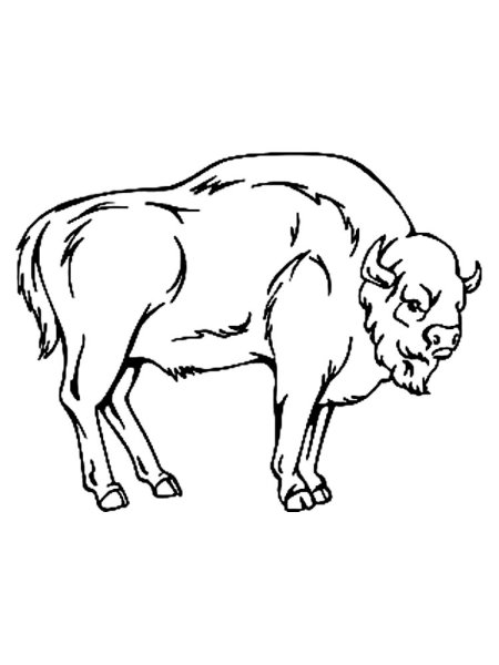 Зубры для выжигания