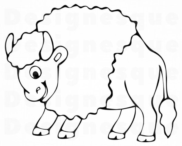 Рисунок зубра для раскрашивания