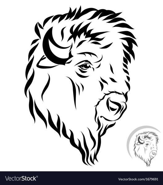 Бизон эскиз