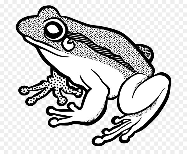 Лягушка черно белая