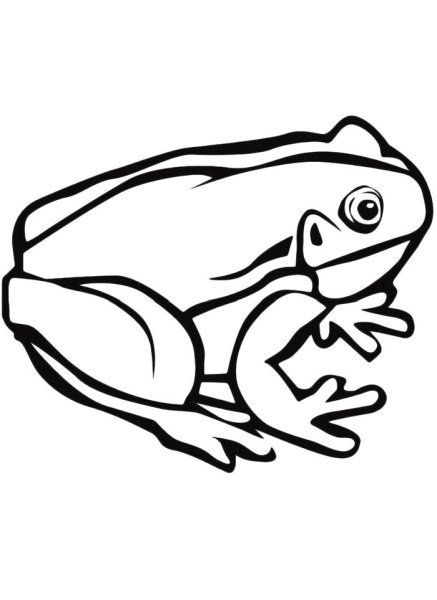 Жаба раскраска