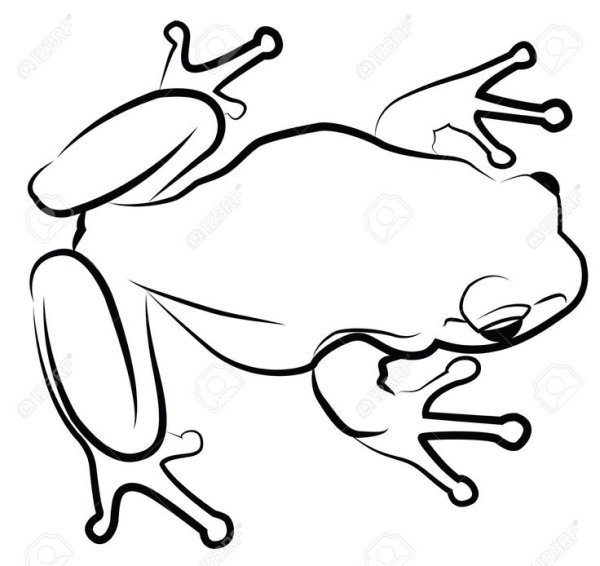 Лягушка силуэт сверху