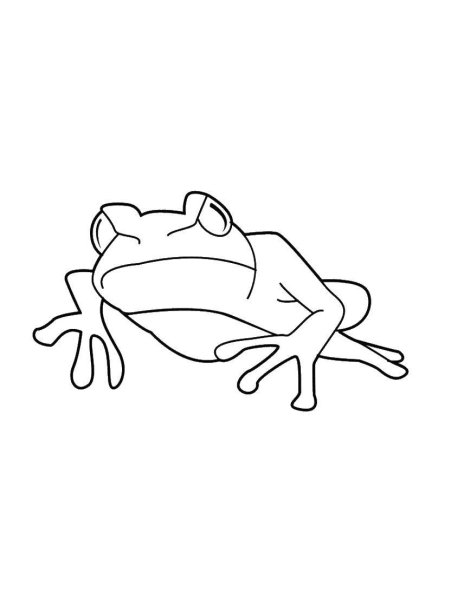 Разукрашка лягушка