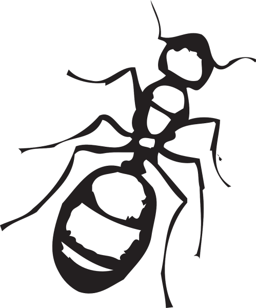 Муравей раскраска для малышей