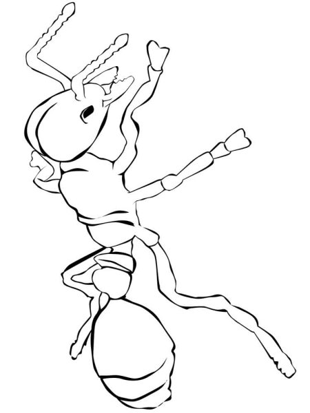 Муравей в графике