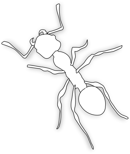 Раскраски насекомые для детей муравей