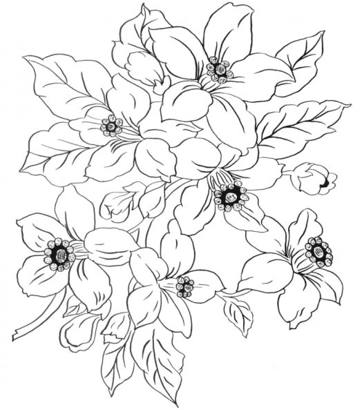 Трафареты для батика цветы