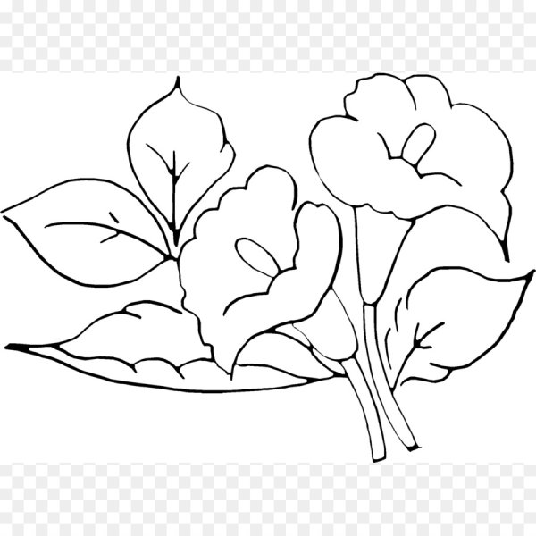 Цветы трафарет для рисования