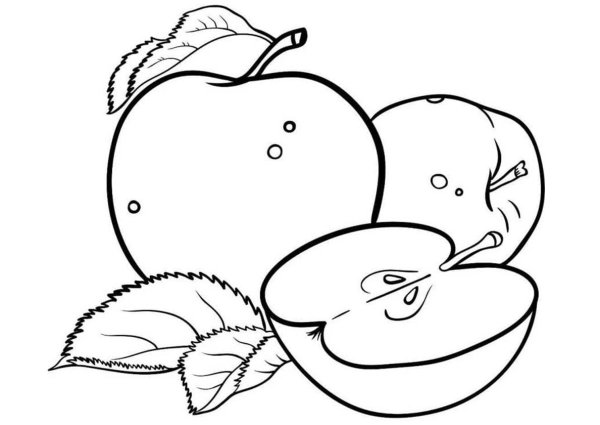 Натюрморт с фруктами раскраска