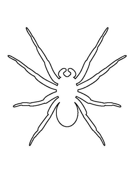 Паук контур