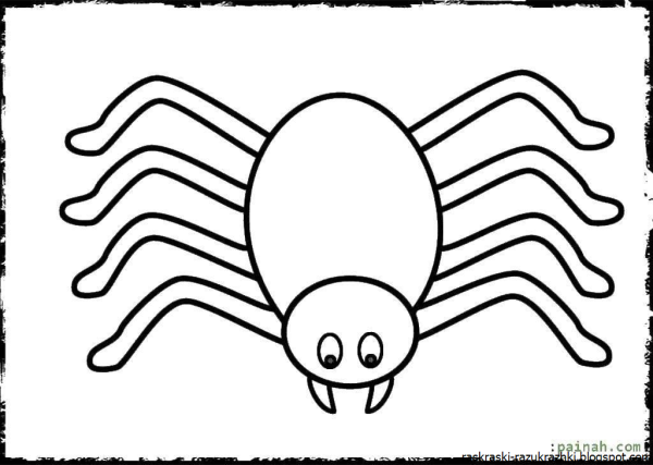 Паук крестовик раскраска