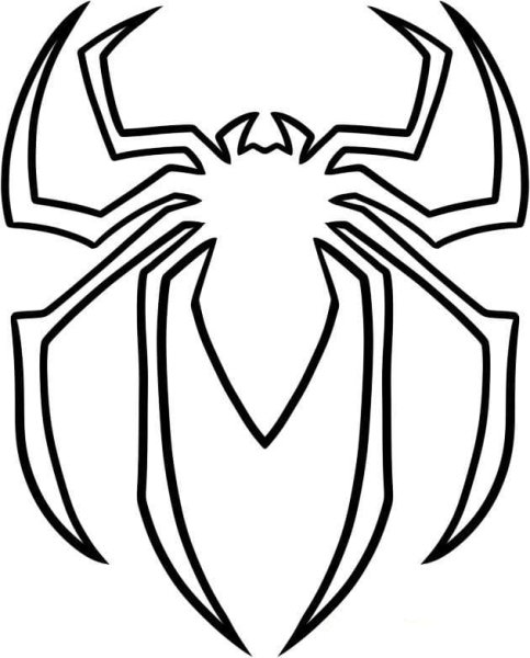 Раскраски насекомые пауки для детей 6-7 лет