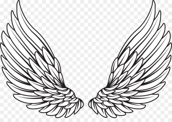 Крылья контур