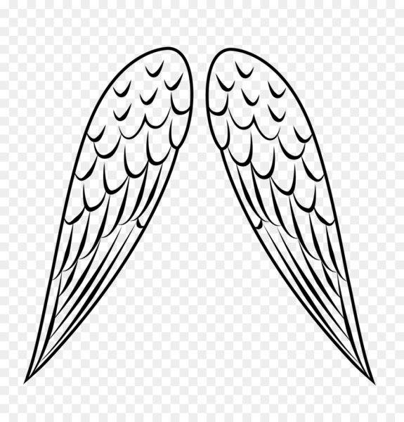 Крылья контур