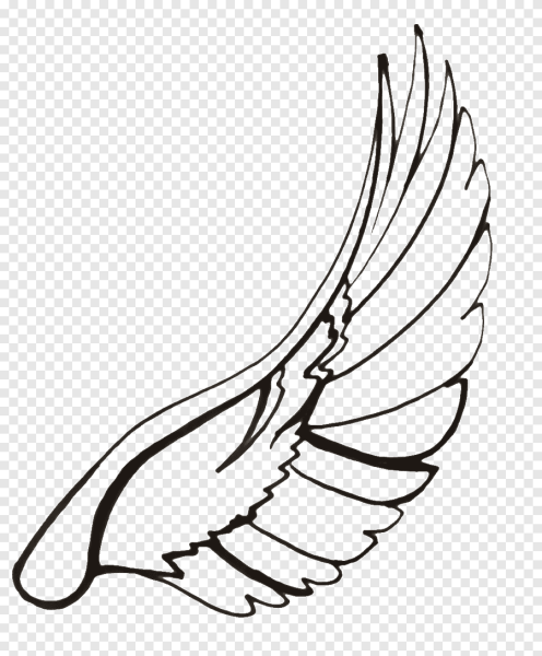 Крылья трафарет