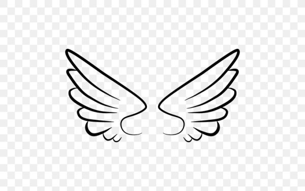 Крылышки контур