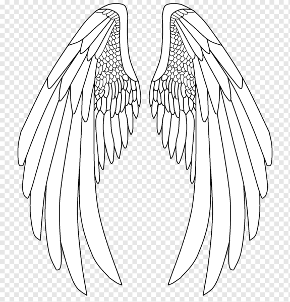 Крылья ангела