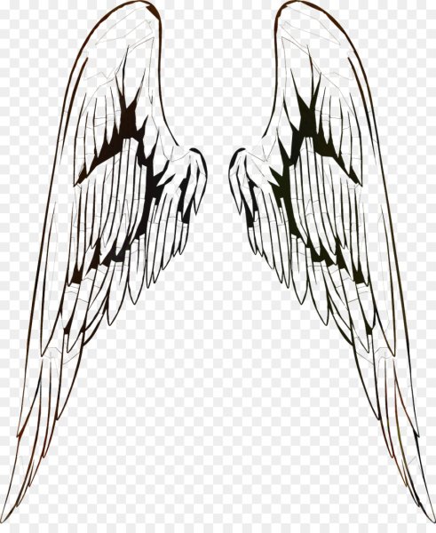 Сложенные Крылья