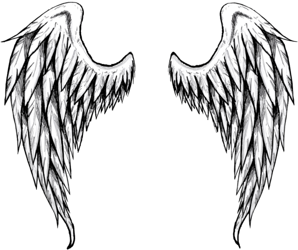 Тату Крылья на прозрачном фоне