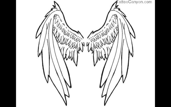 Крылья нарисованные