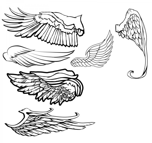 Крылышки эскиз