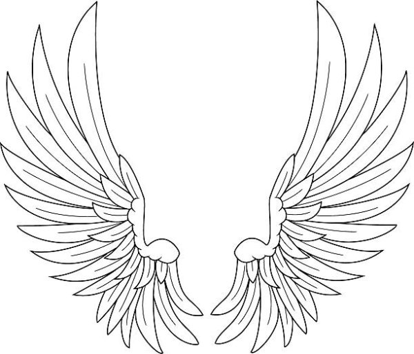 Крылья контурные эскиз