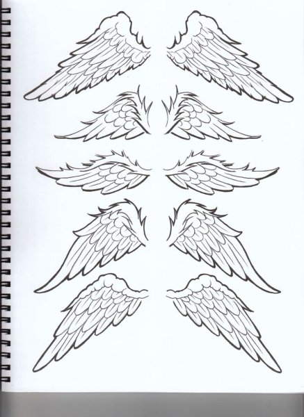 Крылья набросок