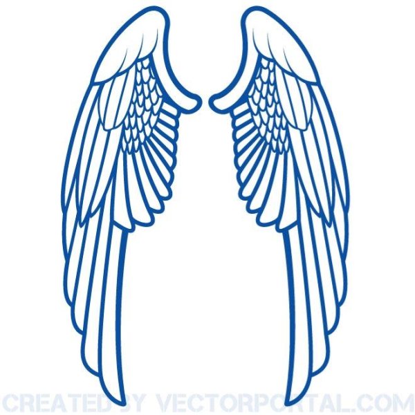 Крылья сложенные вектор