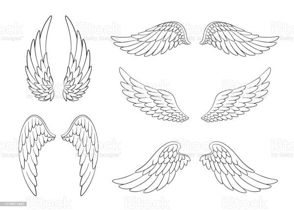 Крылья рисунок вектор