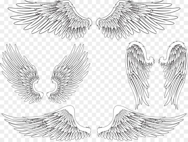 Форма крыльев ангела