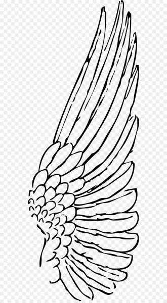 Крылья контур