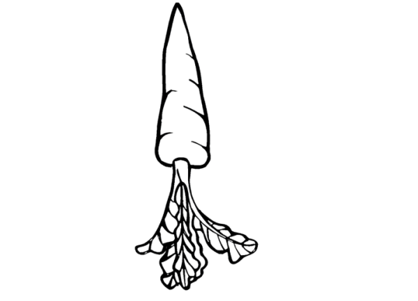 Морковь раскраска