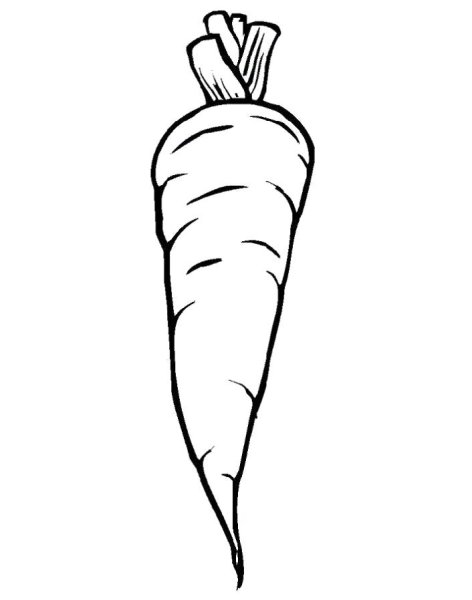 Морковка черно белая
